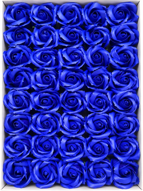 befb6551-57bb-489c-9fe9-92d0a4634b39.png