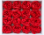 b4b5d76d-5f27-481c-9fee-f1ab55f8049e.png