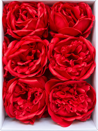 75fe08cb-8360-47fd-ab19-1846db4e218e.png