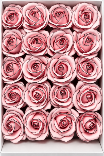 55b6409c-2505-4dbf-b439-74db9c225c01.png