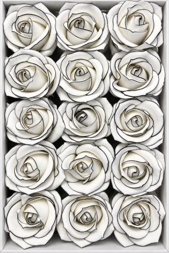 9a2138b4-c342-4c01-b6d4-e5078c0c6d1a.png