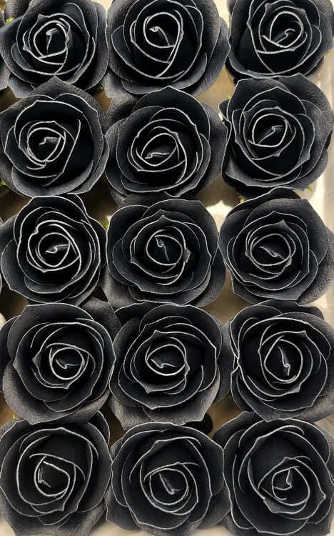fc6f3e7a-9c2a-4698-9960-635026b2a074.png