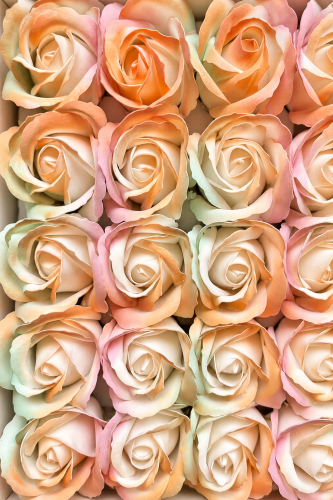 06a2d39b-2969-4a5a-95ed-26e00214117f.png