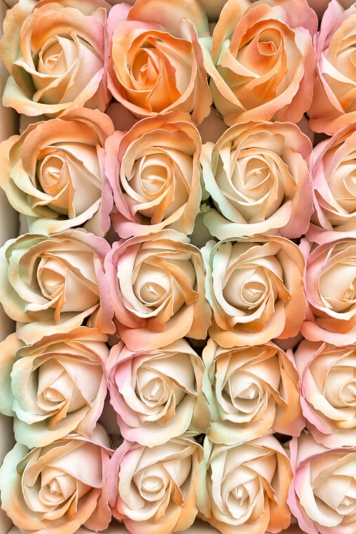 06a2d39b-2969-4a5a-95ed-26e00214117f.png