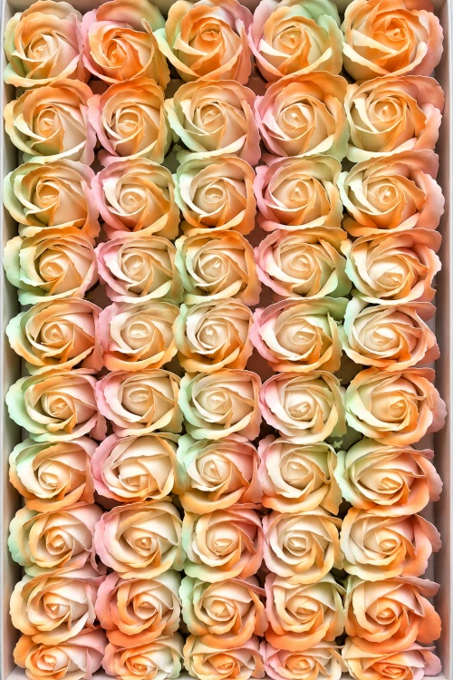 e4be7843-0add-4e7b-9c92-e96a0a14ded6.png