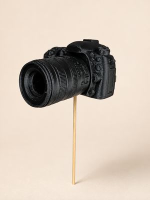 6204756850.jpg