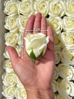 6256976746.jpg