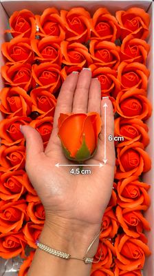 6285097626.jpg