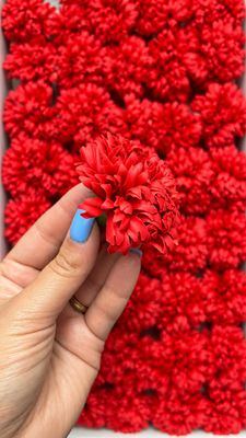 6288941280.jpg